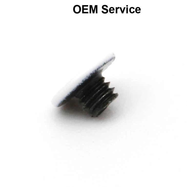 White Zinc Plating Flat Small Screw